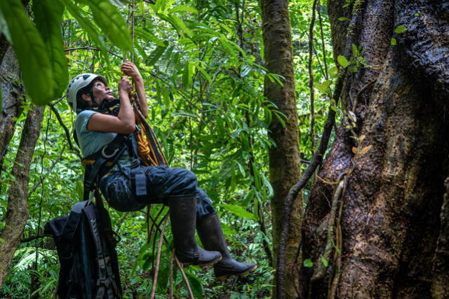 Exploración en la Amazonía. Foto: National Geographic