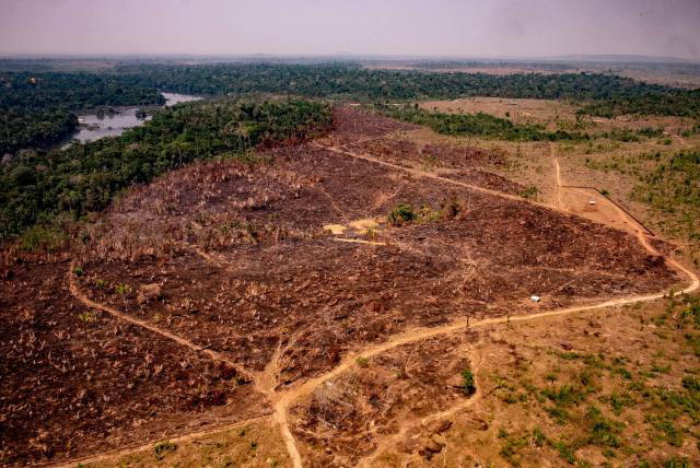 Otro ángulo de la deforestación en Mato Grosso (Brasil) en agosto del 2019. Foto: AFP