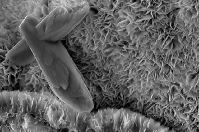  Pliegues microscópicos de esmectita. Foto: Universidad de Boston   