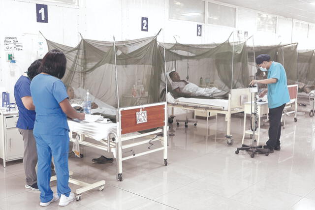  Monitoreo. Personal del hospital Sergio Bernales atiende casos de pacientes que llegan de los distritos de Lima norte en la Unidad de Vigilancia de Dengue de ese nosocomio. Foto: Marco Cotrina   