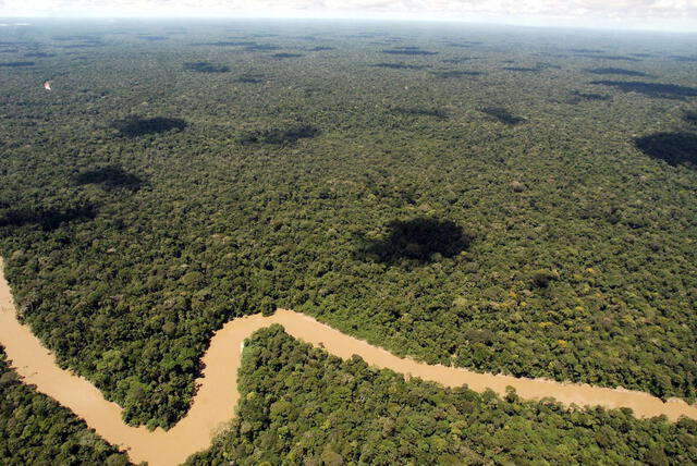  El Parque Nacional Yasuní, alberga el 10% de las especies del planeta. Foto: EFE Agro   