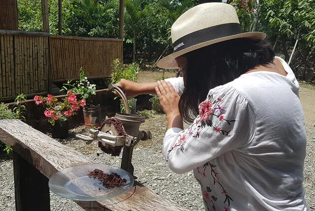 Guayaquil: Conoce qué puedes hacer en esta bella ciudad Guayaquil: Conoce qué puedes hacer en esta bella ciudad