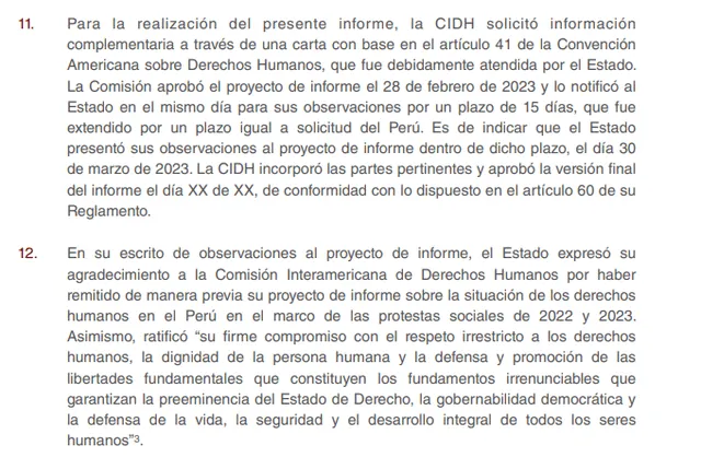 Participación del Gobierno en el informe. Foto: captura de pantalla/CIDH.   