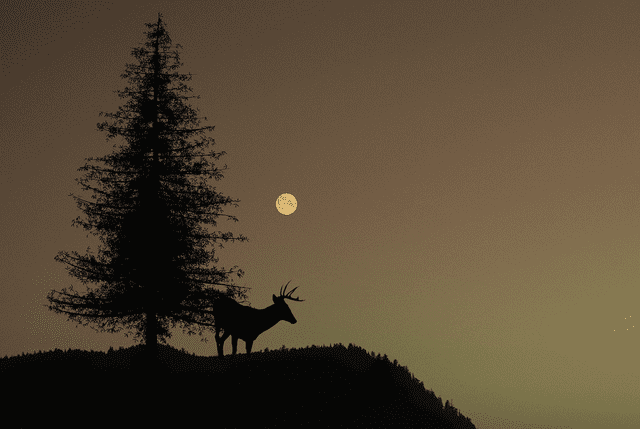  Toda luna llena de julio recibe el nombre de luna de ciervo. Foto: Outdoor Canada   