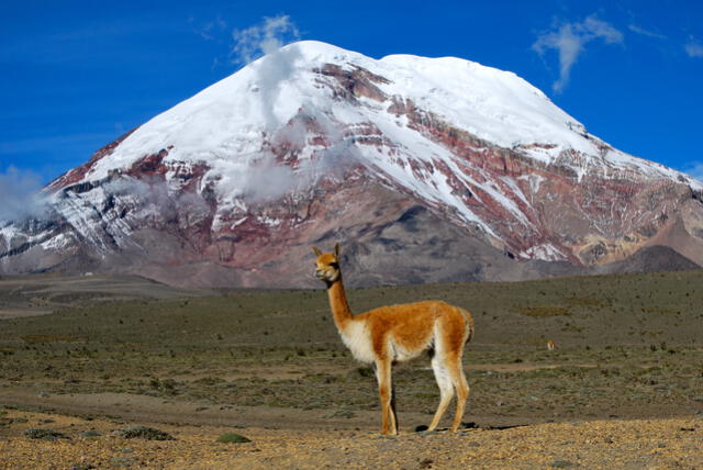  Chimborazo conserva múltiples glaciares. Foto: Wikimedia Commons 