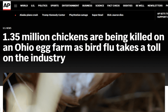 <em> Publicación del medio AP el 2023 donde señala el sacrificio de millones de aves por la gripe aviar. Foto: captura de pantalla.</em>   