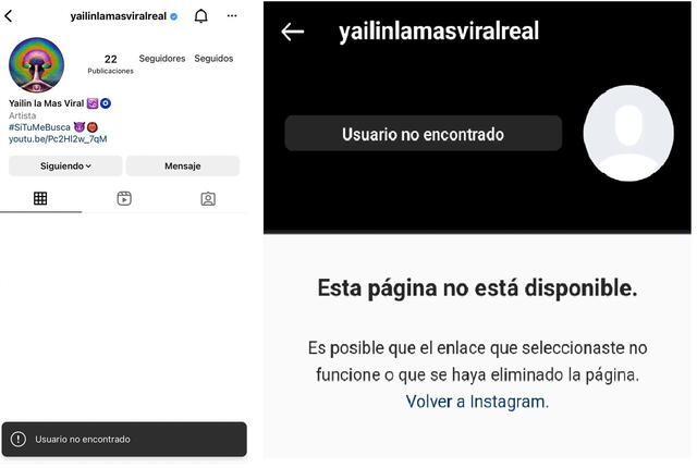 Yailin la más viral eliminó su perfil en Instagram. Foto: captura Instagram