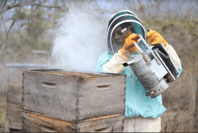Hasta el momento, sola y con pocos recursos, Ysabel ha reforestado más de un millar de árboles en su comunidad, el caserío El Higuerón. Hasta el momento, sola y con pocos recursos, Ysabel ha reforestado más de un millar de árboles en su comunidad, el caserío El Higuerón.