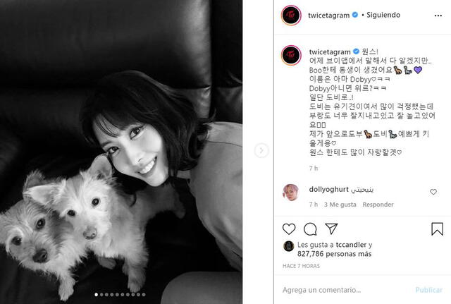 Post en Instagram de Momo de TWICE y sus mascotas. Foto: @twicetagram