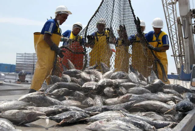  Produce establece en 43.826 toneladas el límite de pesca de bonito para el 2023. Foto: difusión   
