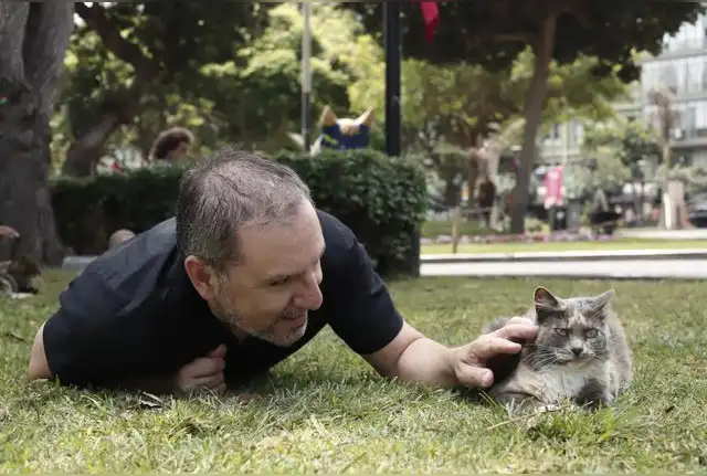  Pedro Llosa: "Me había quedado esa imagen y tenía esta idea de contar una historia de amor a través de todas las experiencias de gatos que haya tenido en mi vida". Foto: Sebastián Blanco.    