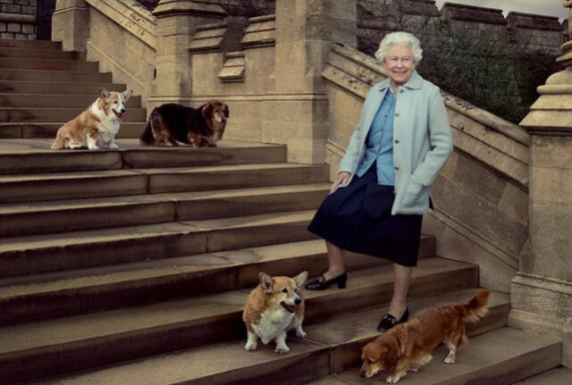 La reina Isabel II y sus mascotas de raza dorgis. Foto: Vanity Fair