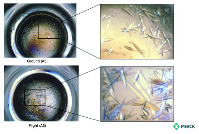  Diferencia de cristales cultivados en el suelo (arriba) y en microgravedad (abajo). Foto: NASA   