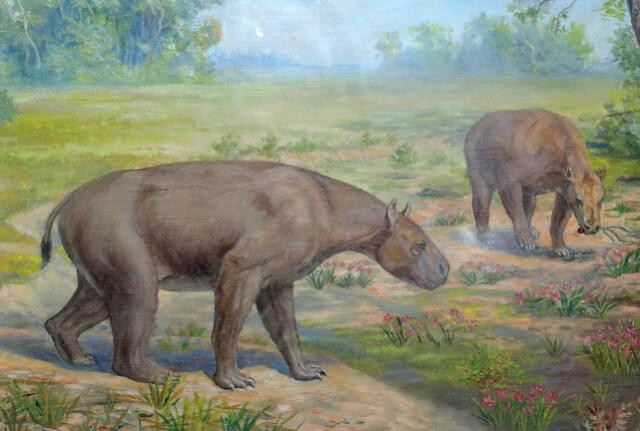  Muchos de los mamíferos que evolucionaron cuando Sudamérica era una isla ahora están extintos. Foto: D. Croft   
