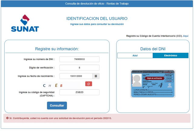 Web oficial de Sunat para consultar si te corresponde la devolución de impuesto. Foto: Sunat   