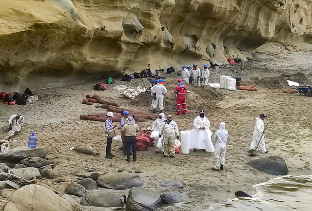 Realizan limpieza en playa de Lobitos. Foto: OEFA   