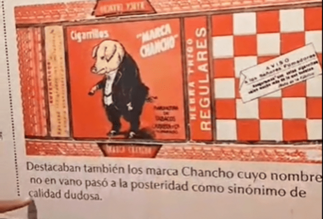 La frase "marca chancho" es muy utilizada entre los peruanos, pero nació en Chile. Foto: TikTok    
