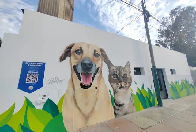 El catálogo precisa la edad y estado de vacunas de las mascotas. Foto: cortesía. El catálogo precisa la edad y estado de vacunas de las mascotas. Foto: cortesía.