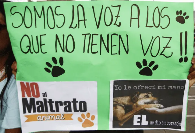 En el Perú existen organizaciones que velan por los derechos de los animales. Foto: La República.