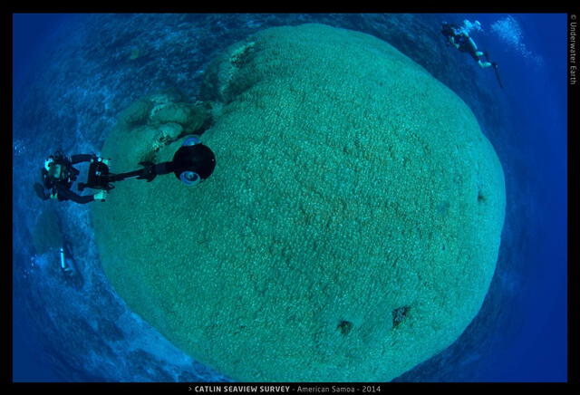  Este animal es único en su especie y tiene más de 300 años de antigüedad. Foto: NOAA<br>    