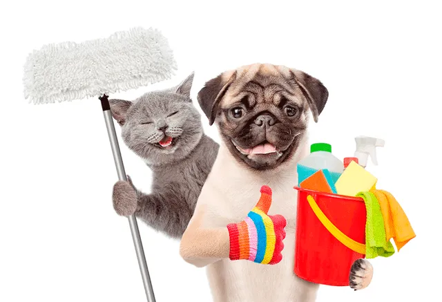 La limpieza del hogar debe ser diaria, especialmente si tenemos mascotas