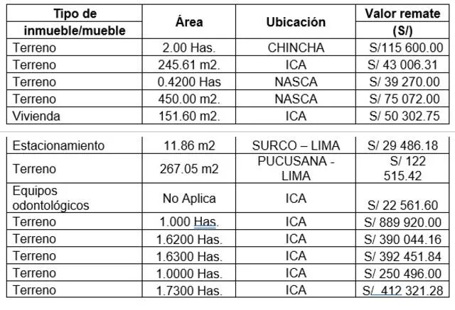  La lista de los bienes a rematar por la Sunat. Foto: Sunat   