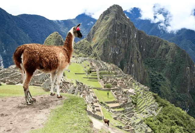 Machu Picchu es el lugar arqueológico más importante del Perú. Foto: National Geographic/Shutterstock   
