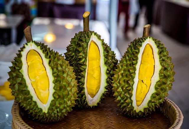  Durián, fruta originaria de Indonesia, Brunei y Malasia. Foto: Portal Frutícola<br>    