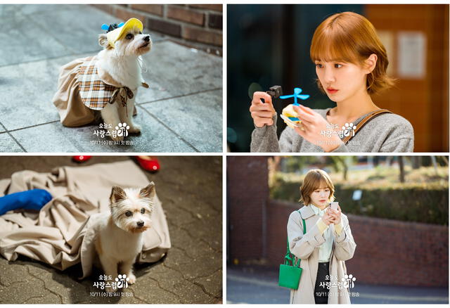  Park Gyu Young se transforma en una adorable perrita en 'A Good Day To Be A Dog'. Foto: MBC 