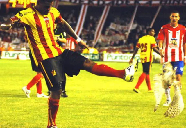 El jugador tuvo la desafortunda idea de patear al ave para sacarlo de la cancha de juego. Foto: El País Colombia.