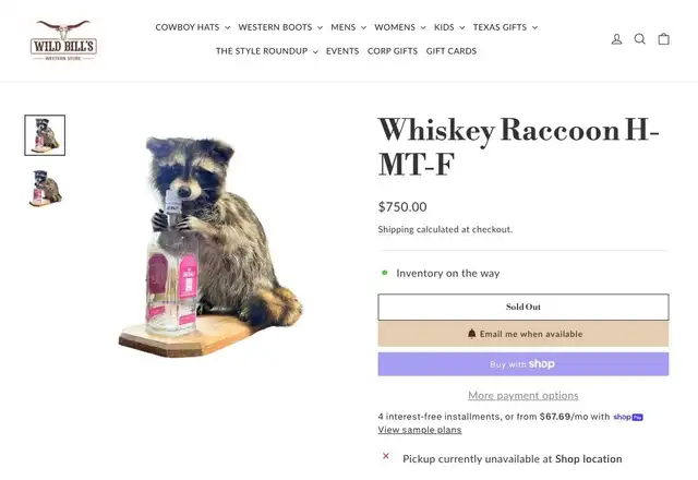 El mapache disecado tuvo un valor de US$750. Foto: Wild Hells