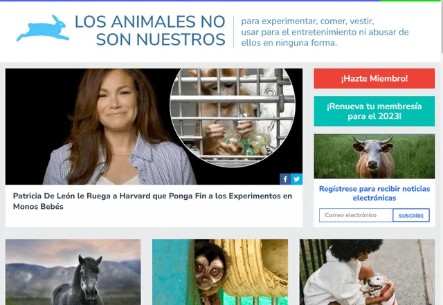 Página web de PETA Latino. Foto: captura de pantalla   