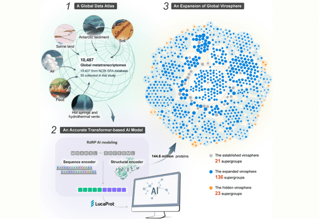  Resumen de procedimiento para el hallazgo de virus con IA. Foto: Holmes et al.   