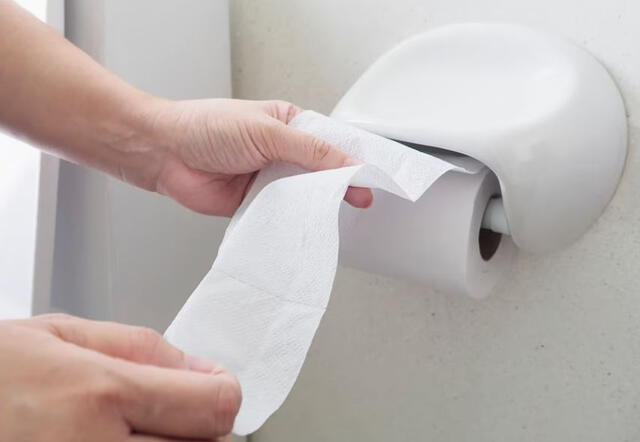 ¿Con qué se limpiaban las personas hasta antes de la existencia del papel higiénico?