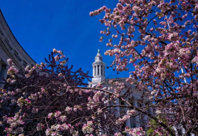 Estas son las 5 mejores ciudades de Estados Unidos para visitar en primavera