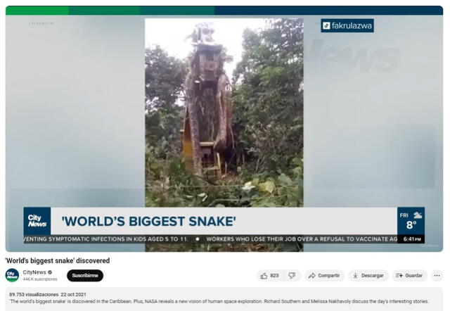  El colosal reptil habitaba en la isla de Dominica. Fuente: captura de YouTube   