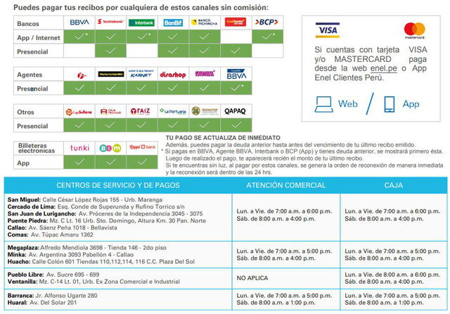 ¿Cómo ver y pagar tu recibo de luz por internet? Foto: captura empresa de electricidad