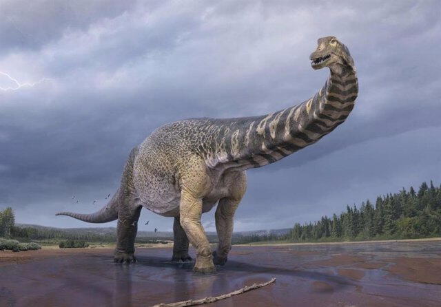 Los saurópodos son de los dinosaurios que alcanzaron mayor altura antes de extinguirse. Foto: Vlad Konstantinov   