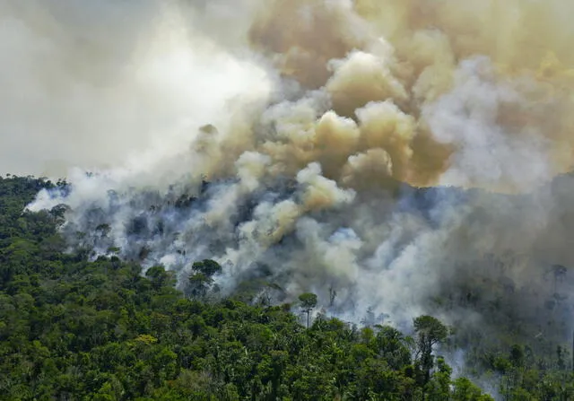 Científicos advierten que la Amazonía está en riesgo de convertirse en una catástrofe