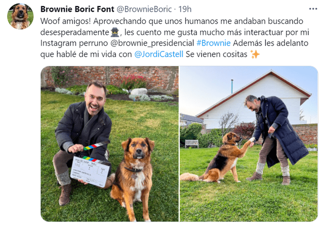 Brownie Boric, la mascota presidencial de Chile que conquista Twitter y ‘responde’ a sus fans