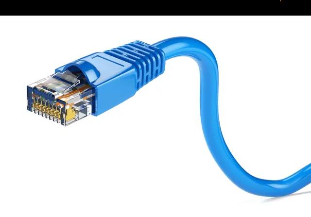  Así es un cable ethernet. Foto: Digitaltrends    