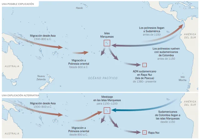  El estudio sugiere que los navegantes polinesios, podrían haber llegado a las costas de Sudamérica. Foto: Jonathan Corum | Source: Nature / NY Times   