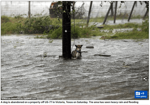  Imagen 6 corresponde a las inundaciones en Estados Unidos en 2017. Foto: captura en web / Daily Mail.&nbsp;<br><br>    