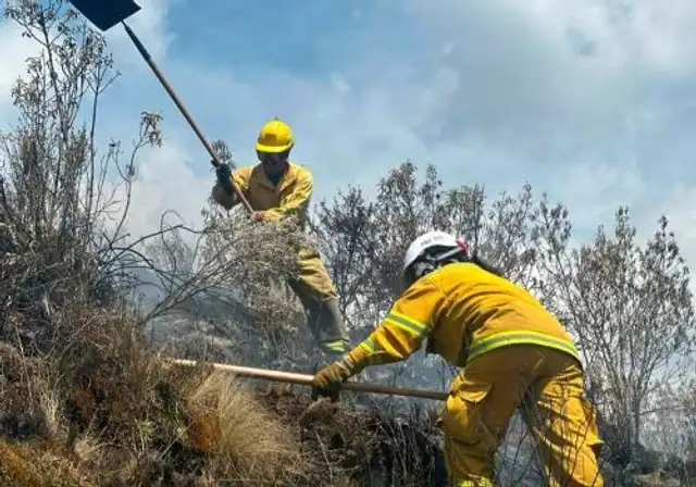  Autoridades advierten que, en muchos casos, los incendios son provocados debido a creencias. Foto: difusión   