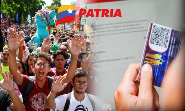  Tienes que estar registrado en el Sistema Patria para poder cobrar el Bono Beca Universitaria. Foto: composición LR/ Tal Cual/ El Pitazo/ Patria<br><br>    