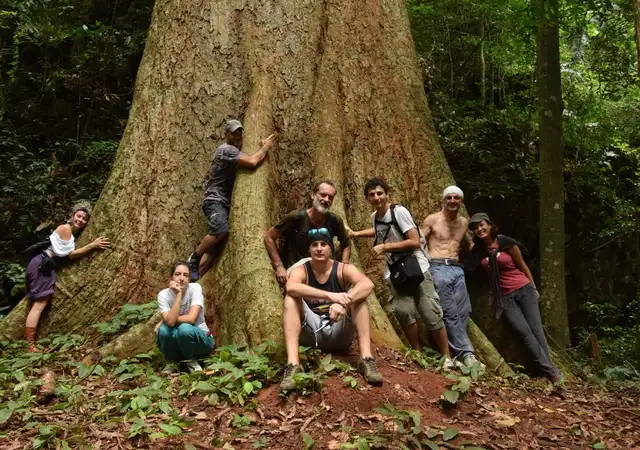 La oferta es ideal para nómadas digitales que quieren explorar el sudeste asiático. Foto: Worldpackers La oferta es ideal para nómadas digitales que quieren explorar el sudeste asiático. Foto: Worldpackers
