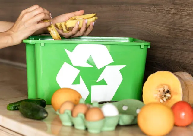  El reciclaje para convertirlo en alimentos para mascotas ayudarían a reducir el desperdicio y contaminación. Foto: Freepik   