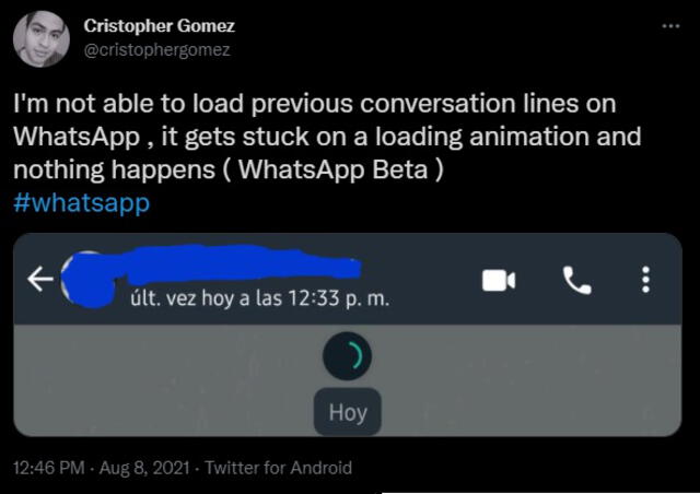 Conversaciones de WhatsApp beta no cargan correctamente.