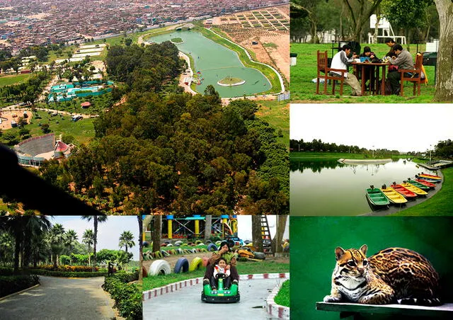  El parque zonal Huáscar, en Villa El Salvador, ofrece extensas áreas verdes y actividades recreativas para disfrutar en familia. Foto: Behance/Rocío Santos   