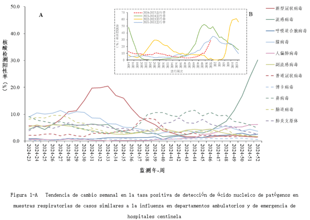  China ha presentado un aumento de enfermedades infecciosas respiratorias en las últimas semanas. Foto: CDC   